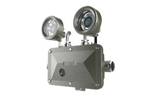 1606202945111340.jpg 雙頭應(yīng)急燈.jpg